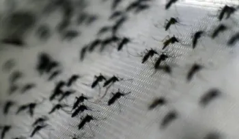 Los hombres con el zika deben esperar 6 meses para tener sexo