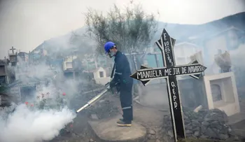 Eminencias en médicina e investigadores piden posponer o cambiar sede de olímpicos por el zika