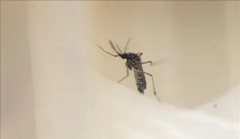 Dan de alta primer paciente chino con zika, que contrajo en Venezuela