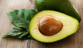 Descubren propiedades medicinales en semilla del aguacate tratarían el cáncer