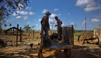 El desarrollo de Latinoamérica será una tarea pendiente en 50 años