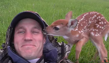 Hombre rescata a un venado bebé y el animalito se niega a abandonarlo