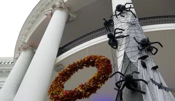 La araña y el candidato