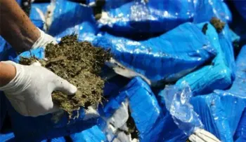 Guardacostas de EEUU decomisan 674 kilos marihuana cerca de la costa de Haití