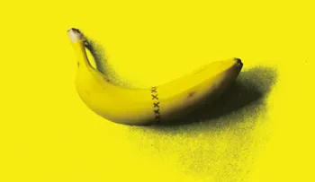 Un comediante se rompió el pene y escribió este libro para contarlo