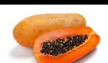 No tiren las semillas de lechoza o papaya (VIDEO)