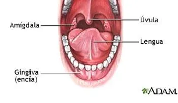 Cómo desaparecer el dolor de garganta y la amigdalitis en 3 Horas. ¡Sí, Funciona!