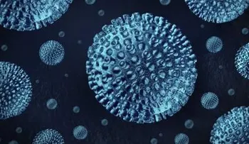 Confirmado el primer contagio de virus Zika por transmisión sexual
