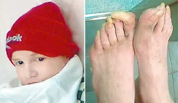 Niños criados por animales y espectacular historia infante salvaje español