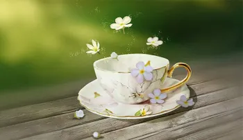 Tres tazas al día de esta bebida reduce el riesgo de muerte prematura