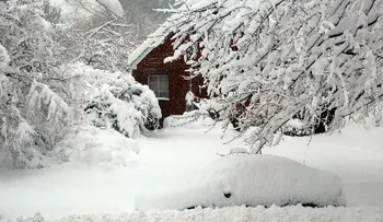 Tormenta de nieve avanza hacia el noreste de EEUU
