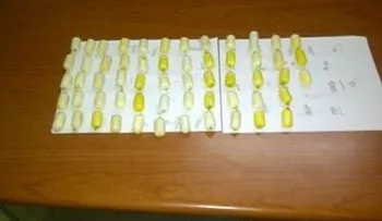 Apresan italiana con estómago y vagina llenos de droga