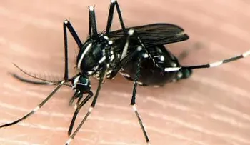 Chikunguña amenaza todo el continente americano