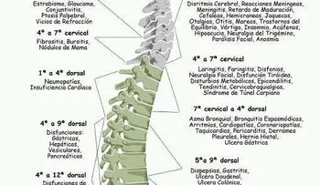 El dolor y las emociones 