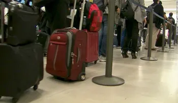 Si intentas viajar a EE.UU., así es como la prohibición de viajes podría afectarte