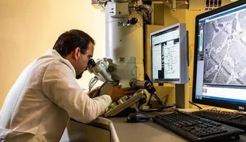 Las hormonas sexuales podrían estimular el crecimiento de tumores cerebrales