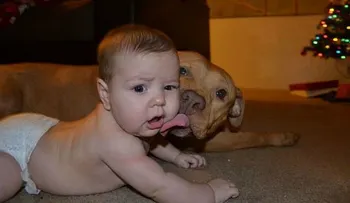 Convivir con perros desde pequeños reduce el riesgo de padecer asma