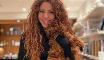 Shakira podría ser condenada a 8 años de prisión, por no pagar impuestos de 14,5 millones de euros