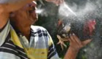 Criollos arrestados en EEUU por peleas de gallos