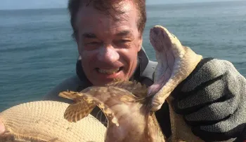 Serpiente marina vs. pez venenoso: un pescador es testigo de una batalla a muerte