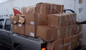 Procuraduría Medio Ambiente y CODOPESCA decomisan 20  mil libras de lambí