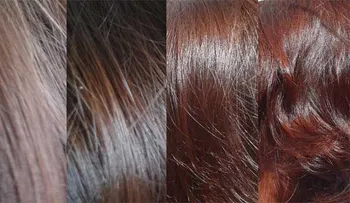 Cabello reseco y sus tratamientos naturales