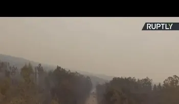 62 muertos en el incendio más mortífero de los últimos 50 años en Portugal