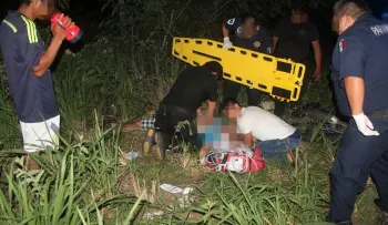 Hombre muere al chocar vehículo que conducía con una vaca