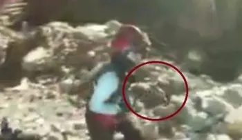 Hallan pato con vida 5 días después de sismo  de Ecuador