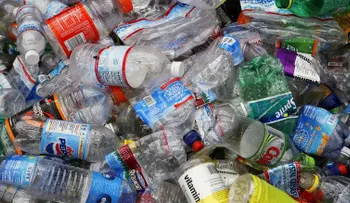 Descubren una nueva bacteria que puede comerse el plástico