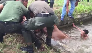 Un caballo cae al agua y un joven tiene una idea general para sacarlo  