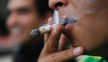 México Opina presenta: La búsqueda por legalizar la marihuana en México