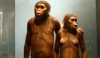 Hallan un cromosoma de hombre moderno en el ADN de un neandertal