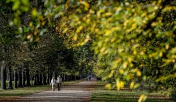 Los suecos y los españoles, son los europeos que viven más años y con mejor salud