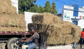Ganaderos agradecen al presidente Abinader apoyo durante la sequía