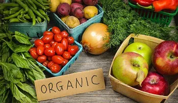 ¿Comprar alimentos orgánicos ayuda realmente al cuidado medioambiental?