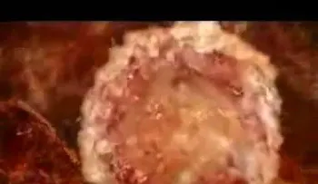 Un excelente VIDEO te explica el proceso de la fecundación 