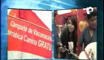 Realizan jornada de vacunación antirrábica de caninos y felinos en SDE