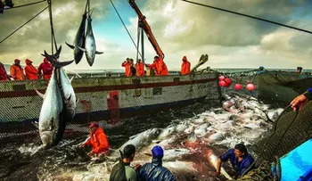 Llegan a España 30 inmigrantes africanos tras brincar cerco