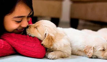 Descubren que el vínculo perro-dueño es similar al de madre-hijo
