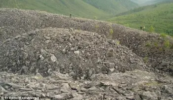 Encuentran respuesta a la anomalía del bosque siberiano