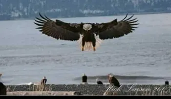 El condor pasa - George Zamfir (Video)