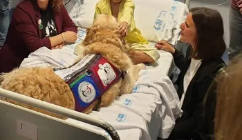 Zenit, el perro que consigue reducir el dolor de los niños