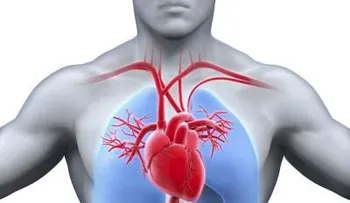 Localizan el interruptor del corazón