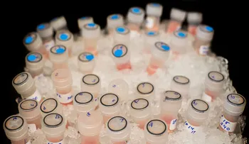 Inmunoterapia, nueva esperanza para el cáncer de hígado