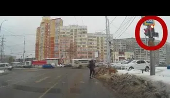 Alucinarás al ver a este perro cruzando la carretera