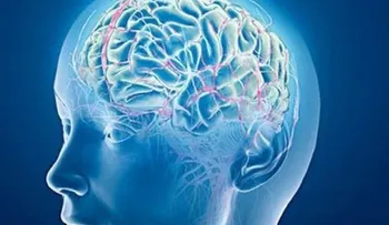 Hacer juicios de valor aumenta la materia gris del cerebro