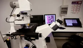 Descubren linfocitos que permiten reducir el tamaño de tumores