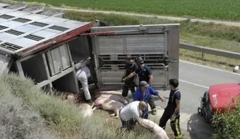 Un hombre muerto y dos heridos en riña en billar de Las Cañitas