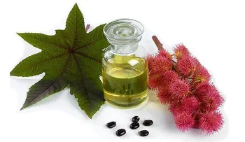 Este es el mejor producto que te harás crecer tu cabello, cejas y pestañas como COSA LOCA